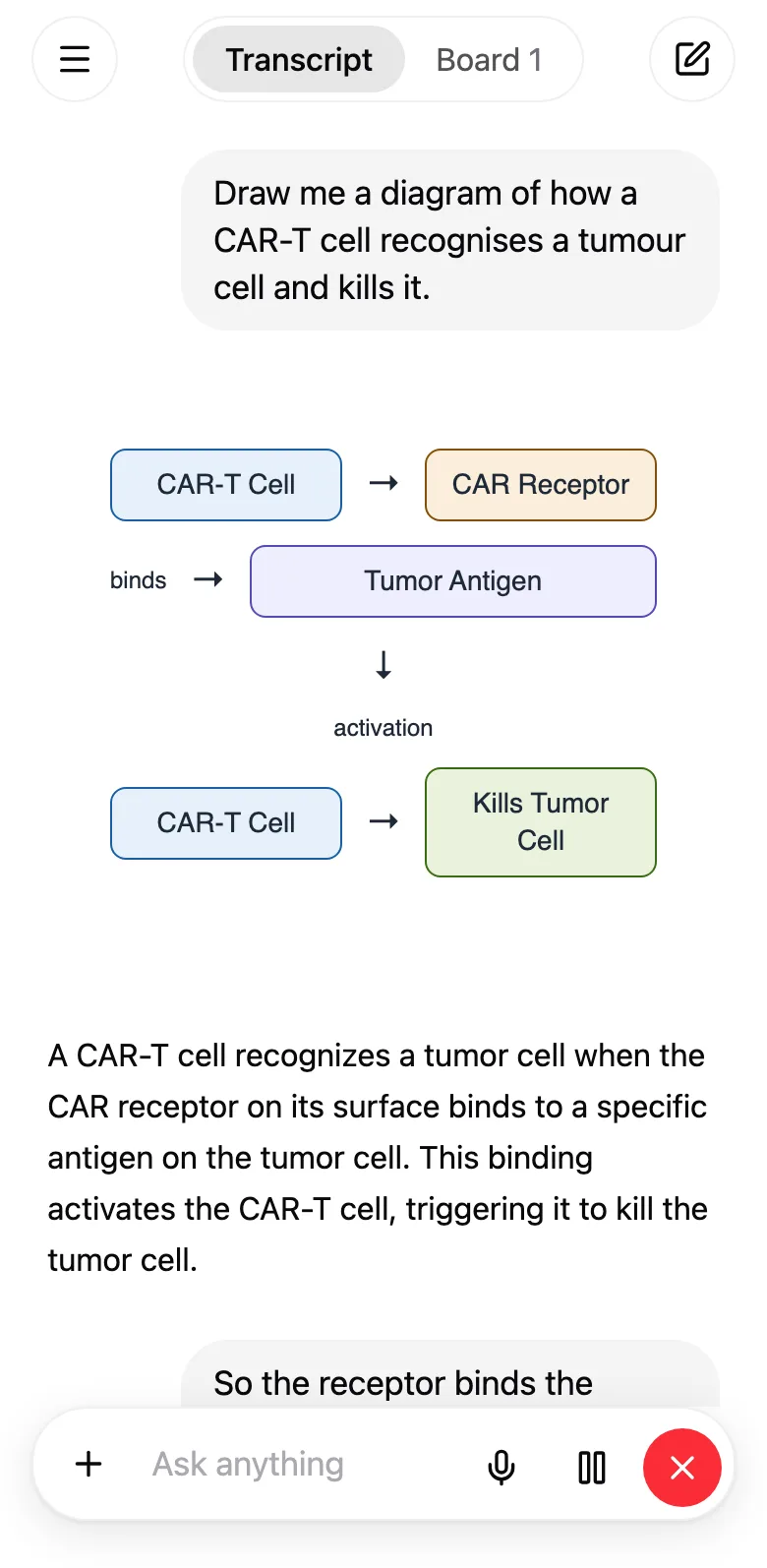 A voice call in Understand on a phone, where the tutor has drawn a diagram of how a CAR-T cell kills a tumour cell in answer to a question, October 2026.